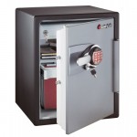 Sentry Safes OA3817 door ajar