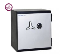 Chubb_ProGuard_110E_grade_3