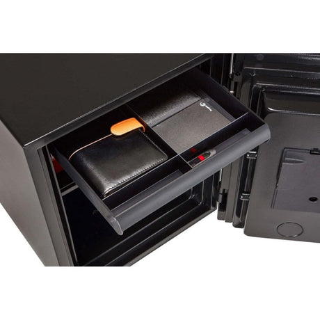 Phoenix Spectrum Plus Size 1, Biometric Lock Luxury Silver Fire Safe